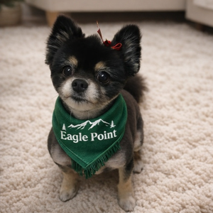 Fundraising Page: Eagle Point Elementary